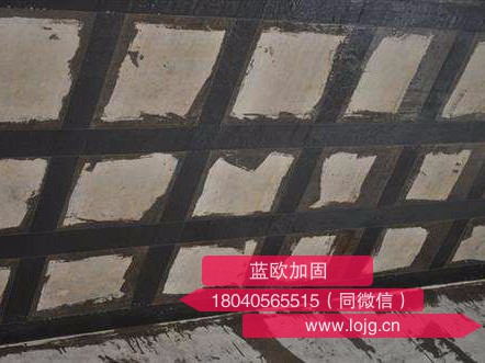 碳纤维加固公司